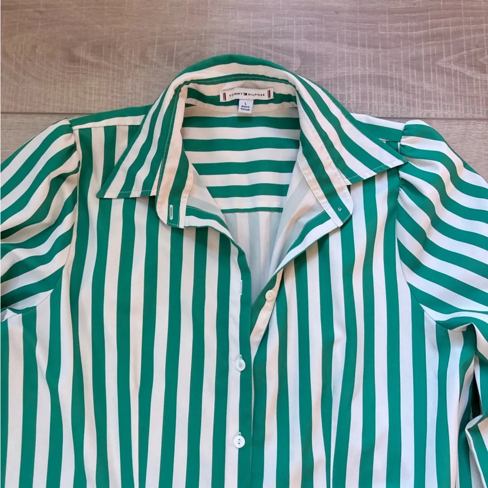 Green Striped Button-Down Dress - Picture 4 of 6